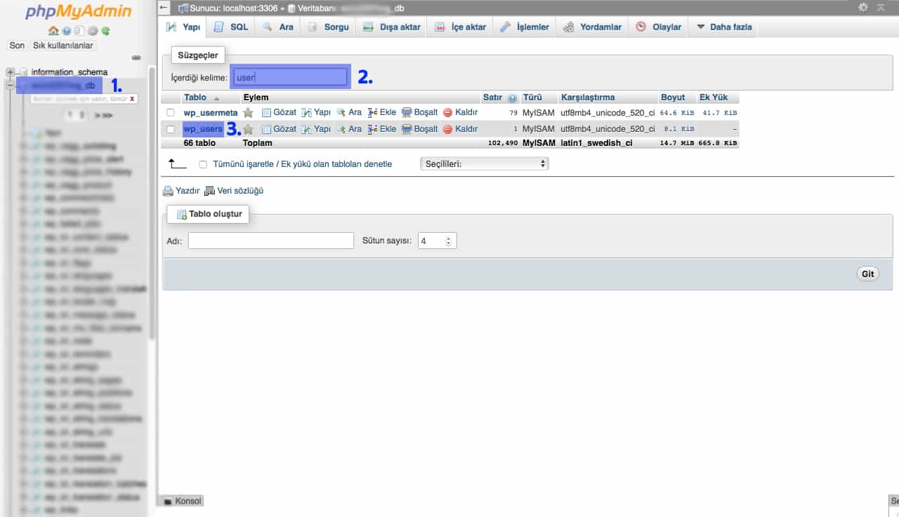 Wordpress Şifre Sıfırlama